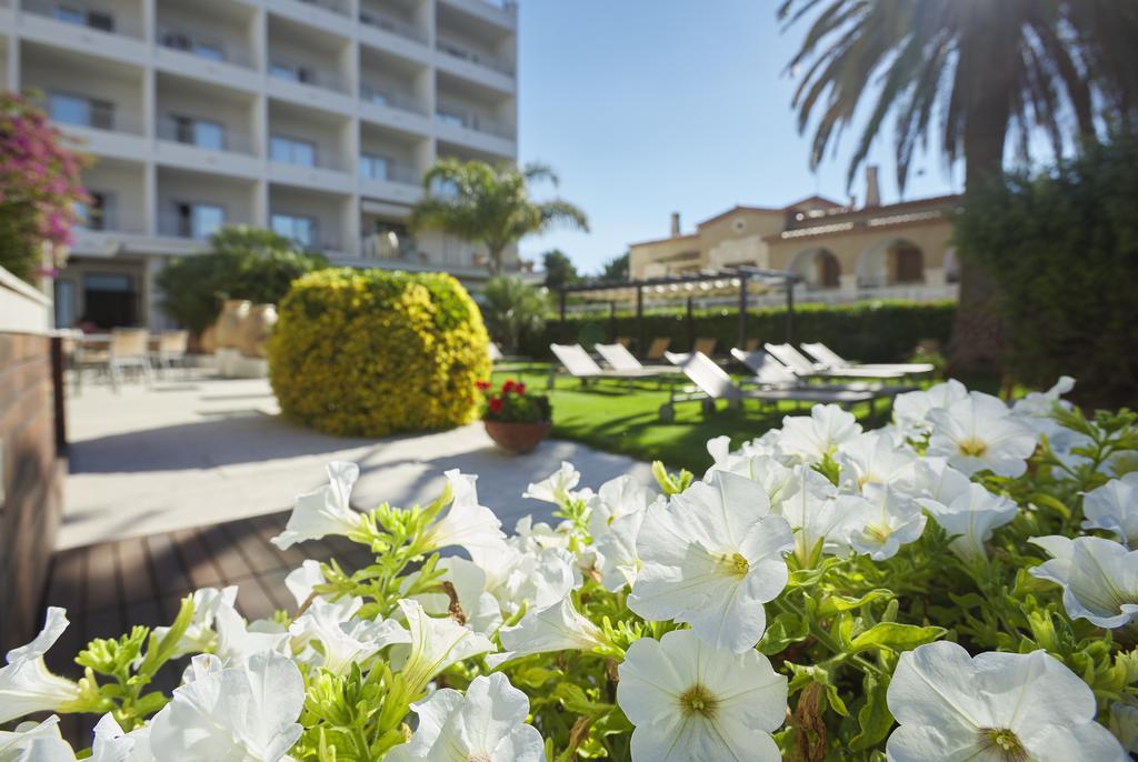Hotel&spa Terraza 4*