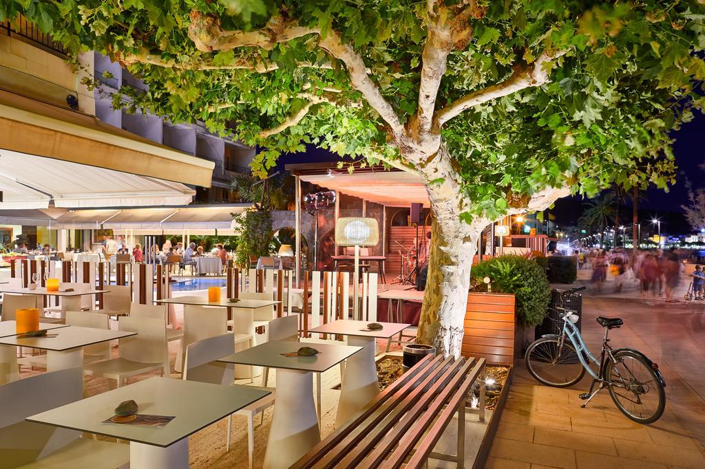 & Terraza 4 Sup Roses